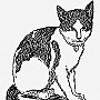 Nansen, ship's cat of Belgica, sketched ca. 1897 by cabin boy Johan Koren - click to enlarge