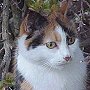 Colin's life returns to normality, Port Taranaki, NZ