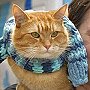 Street Cat Bob and James Bowen support the Blue Cross, Jun 2012