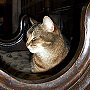 Doorkins Magnificat of Southwark Cathedral