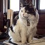 Clara checking on the paperwork - click to enlarge