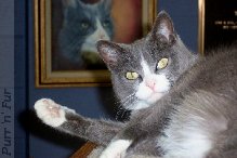 Percy with his portrait in the background - Joplin Museum Complex, Joplin, Missouri
