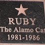 Plaque on Ruby's grave - The Alamo, San Antonio, Texas