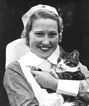 Ww2 Pets