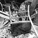 A marmalade cat patiently waiting in the wreckage of a building (copyright IWM, used with permission) - click to enlarge
