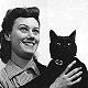 Little One with his special collar and owner Mrs Day, London, 1941 (copyright IWM, used with permission) - click to enlarge