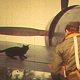 Sinbad the cat and Fred Christiansen