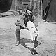 Snowy, mascot of the New Zealand Tunnelling Company, Dainville, near Arras, France; 16 July 1918. Image may not be copied or reused without permission.