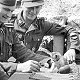 Kitten playing with hand grenade, WW2