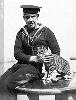 Anonymous ship's cat