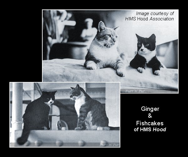 02-ww2-hms-hood01-ginger-fishcakes.jpg