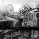 Kitten on HMS Aurora, Sept. 1914 (copyright NMM, used with permission) - click to enlarge
