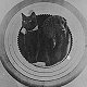 Ship's cat and dog, HMS Barham, ca 1916