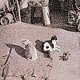 Ginger and Minnie, ship's cats of HMS Bramble