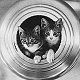 Ship's cat Tibby and friend, HMS Hawkins, c. 1920 (copyright NMM, used with permission) - click to enlarge