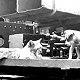 Ginger the cat with a puppy, HMS Hood