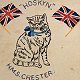 Hoskyn, ship's cat of HMS Chester, embroidered on a cushion cover, c. 1916 (copyright NMM, used with permission) - click to enlarge