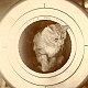 Togo, ship's cat of HMS Irresistible, 1905