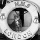 Chief Baker's cat, HMS London