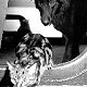 US Coastguard LST cat 'Tarawa' and ship's mascot 'Kodiak' the dog - click to enlarge