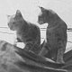 Mary and Mack of the Merrimack, WW2