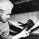 Ship's cat Saipan of the battleship USS New Mexico