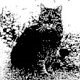 Thrice-rescued Oscar, formerly of German battleship Bismarck - click to enlarge
