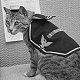 Pooli, US veteran cat of WW2