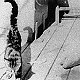 Monty, ship's cat of HMS Poppy, 1944