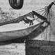 Ship's cat Sarah, of HMS Shropshire