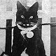 Side Boy of HMS Neptune, battleship of WW1 - click to enlarge
