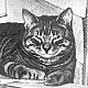 Whisky, of HMS Duke of York, 1940s - click to enlarge