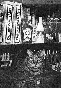 Tom, of Kibby's hardware store, Conrad, Iowa
