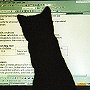 Tinks fascinated with the computer screen