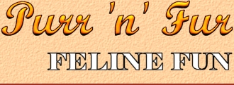 PnF Feline Fun banner