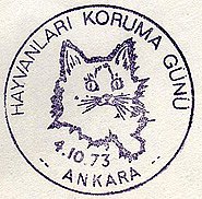 Ankara, Turkey, 4.10.1973 - first day of cats-and-dogs set