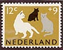 Netherlands, 1964: kittens, from Humanitarian Funds set