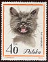 Poland, 1964: one example from the first all-cats set of 10