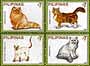 Four of the Philippines 'Cats of the World', Sept. 2006 - click to enlarge