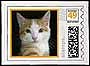 United States 'photostamp' showing cat, 2005 - click to enlarge