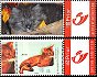 Belgium, personalised stamps with kittens